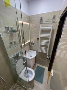 a bathroom with a shower and a toilet and a sink at Victoriei light studio in Bucharest