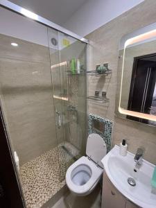 a bathroom with a shower and a toilet and a sink at Victoriei light studio in Bucharest