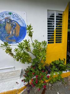 Gallery image of Natural Village #1,2,3 & 5 in San Juan +89 photos