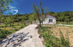 Príroda v okolí dovolenkového domu + 26 fotografií
