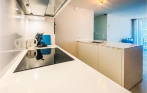ブランケンベルヘにあるGorgeous Apartment In Blankenbergeの白いキャビネットとカウンタートップを備えたキッチン +10枚の写真