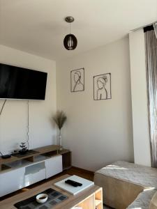 TV a/nebo společenská místnost v ubytování Ruzica