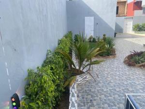 a courtyard with a bunch of plants next to a building at Senkeur in Sali Nianiaral
