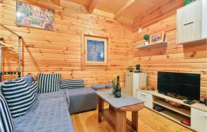 TV a/nebo společenská místnost v ubytování Beautiful Home In Radakovo With Sauna