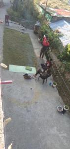 Επισκέπτες που μένουν στο Home stay nagtibba road