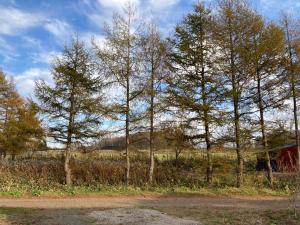 Naturlandschaft in der Nähe der Pension