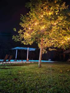 Zahrada ubytování Hotel Quiloma Ranch