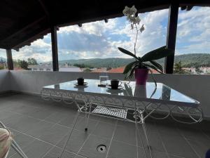 a glass table with a potted plant on a balcony at Attic with a view in Péfka