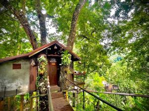 a small cabin in the woods with a wooden staircase at บ้านต้นไม้แม่กำปอง Baan TONMAI MAEKAMPONG in Chiang Mai