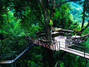 a deck with benches and tables in a forest at บ้านต้นไม้แม่กำปอง Baan TONMAI MAEKAMPONG in Chiang Mai +8 photos