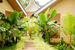 Wilcon Guesthouse Catulayan外面的花园