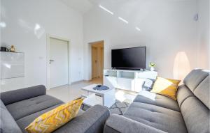 TV a/nebo společenská místnost v ubytování Cozy Home In Cambarelici
