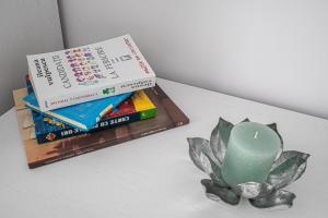 two books and a candle on a table with a plant at Arinis View in Gura Humorului