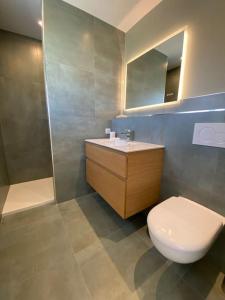 ein Badezimmer mit Toilette, Waschbecken und Dusche in der Unterkunft Villa face mer avec terrasse in Merlimont + 18 Fotos