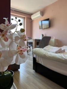 Φωτογραφία από το άλμπουμ του Square Apartments στην Οχρίδα
