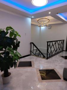 Foto sihtkohas Malabañas asuva majutusasutuse Fields Hotel Carousel galeriist
