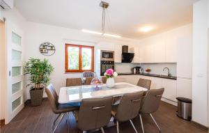 Kuchyňa alebo kuchynka v ubytovaní 4 Bedroom Beautiful Home In Pridraga + 37 fotografií