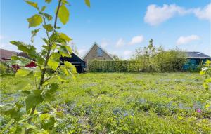 Κήπος έξω από το 3 Bedroom Gorgeous Home In Lauwersoog