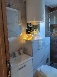 un bagno con un lavandino bianco e un water di RAS ROYAL TRESKA ESCAPE Kopaonik a Kopaonik