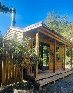 Zahrada ubytování The kauri Tree Pod - Off Grid Experience