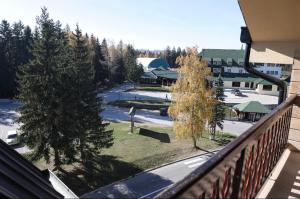 Imagem da galeria de Apartman Iva em Nova Varoš