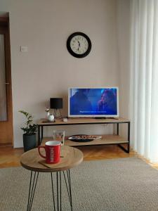 TV a/nebo společenská místnost v ubytování Balkan HOME