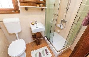 łazienka z prysznicem, toaletą i umywalką w obiekcie 1 Bedroom Cozy Home In Moscenicka Draga w mieście Mošćenička Draga