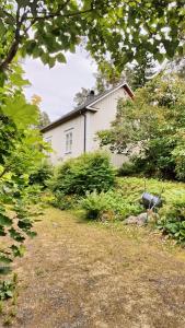 Κήπος έξω από το Vääksyn Mummola