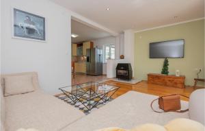 TV a/nebo společenská místnost v ubytování Three-Bedroom Holiday Home In Vinjani Donji