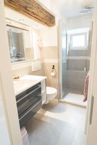 a bathroom with a sink and a toilet and a shower at Elas Ferienhaus in Schleiden +5 photos