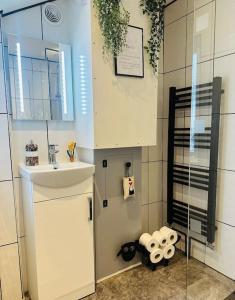 a bathroom with a sink and a counter top at Love Lane Cottage Dolgellau in Dolgellau +19 photos