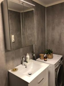 une salle de bain avec un lavabo et une machine à laver dans l'établissement Studio above Bryggen with local charm, à Bergen 2 autres photos