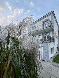 Το κτήριο όπου στεγάζεται  το bed & breakfast