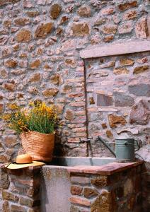 un cesto di fiori su un muro di pietra di Tenuta San Filippo a Montalcino