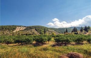 un campo con alberi e montagne sullo sfondo di Stunning Home In Postira a Postira (Postire)