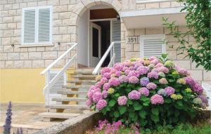 a building with a bunch of flowers in front of it at Two-Bedroom Apartment In Racisce in Račišće