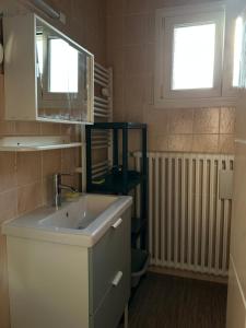 a bathroom with a sink and a mirror and a window at Bel appartement in Valentigney +8 photos