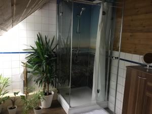 y baño con ducha y macetas. en Hof Landleben, en Dörpstedt 10 fotos más