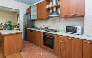 Kuchyňa alebo kuchynka v ubytovaní Two-Bedroom Apartment In Dracevac Ninski