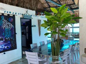 Kolam renang di atau dekat dengan Zéfiro Hostal
