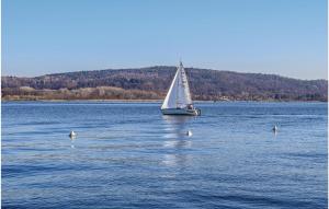a sail boat in the middle of a lake with birds at Villa Castiglioni 031 in Luino