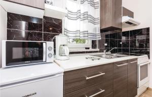 Kuchyňa alebo kuchynka v ubytovaní Awesome Apartment In Icici With Kitchen