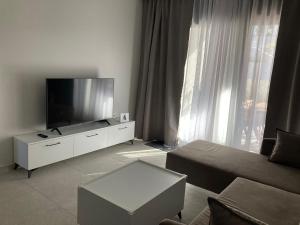 a living room with a flat screen tv and a couch at Artion Cozy Residence Nikiti in Nikiti
