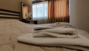 Voodi või voodid majutusasutuse Areg Hotel toas