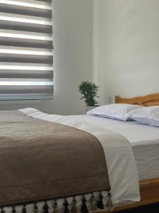 Φωτογραφία από το άλμπουμ του CityLuxe Apartments σε Bukhara