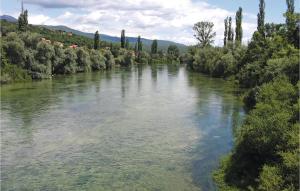Príroda v okolí dovolenkového domu