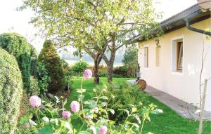 Ogród w obiekcie Ruhiges Ferienhaus Breitenbach