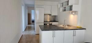 Kuchyň nebo kuchyňský kout v ubytování Central 4 bedrooom apartment