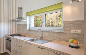 Kuchyňa alebo kuchynka v ubytovaní Two-Bedroom Holiday Home In Vodnjan