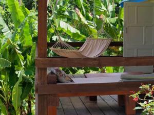 Gallery image of Little Diamond, Wooden Jungle House. Bathsheba. in Saint Joseph
